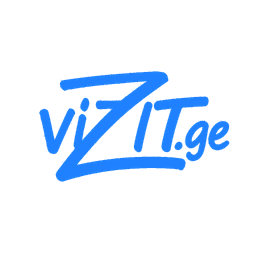 Vizit